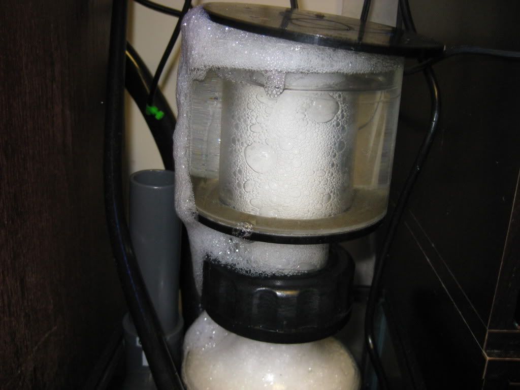 Euro Reef RS 80 Skimmer Overflowing