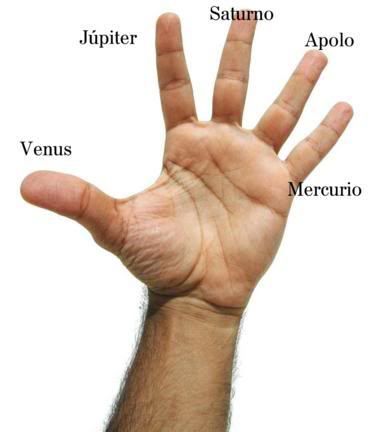 photo dedodevenus373x432cols1.jpg