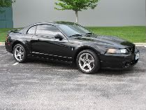 04Cobra001-1.jpg