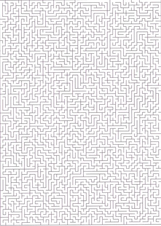 Hardest Maze Ever Photo by water_demon_147 Photobucket