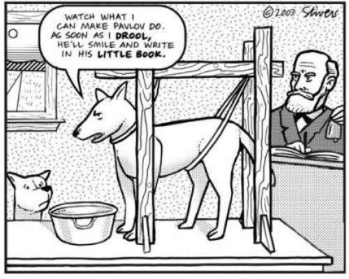 cartoon dog pictures funny. Some Funny And Interesting