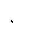th_bug_animated.gif