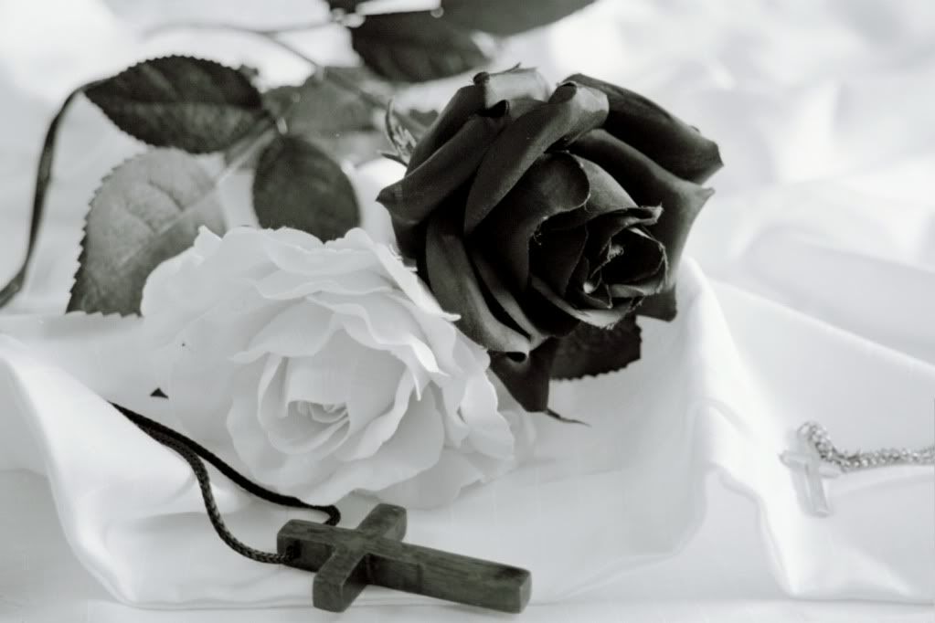 black and white photography roses. lack and white roses Pictures