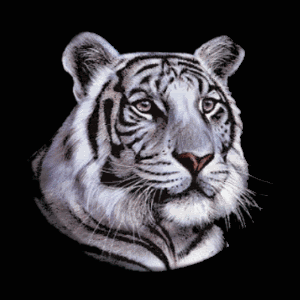 Animated Tiger Gif