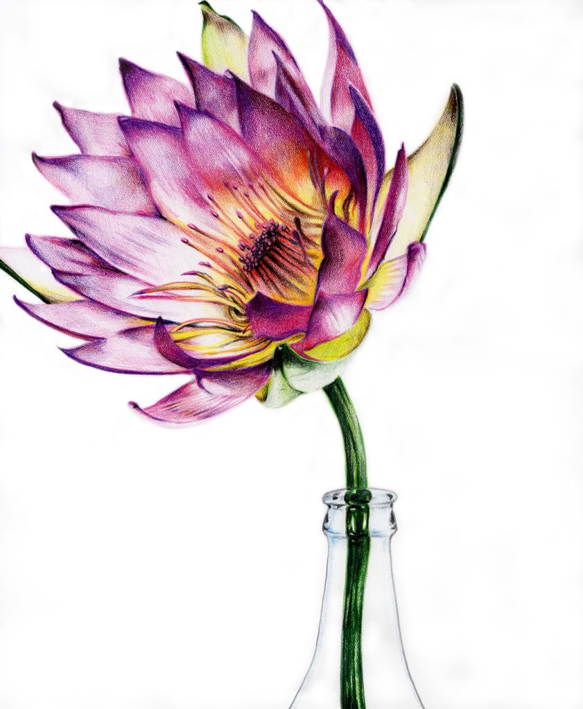 ������ ���� ������ �� ���� ������