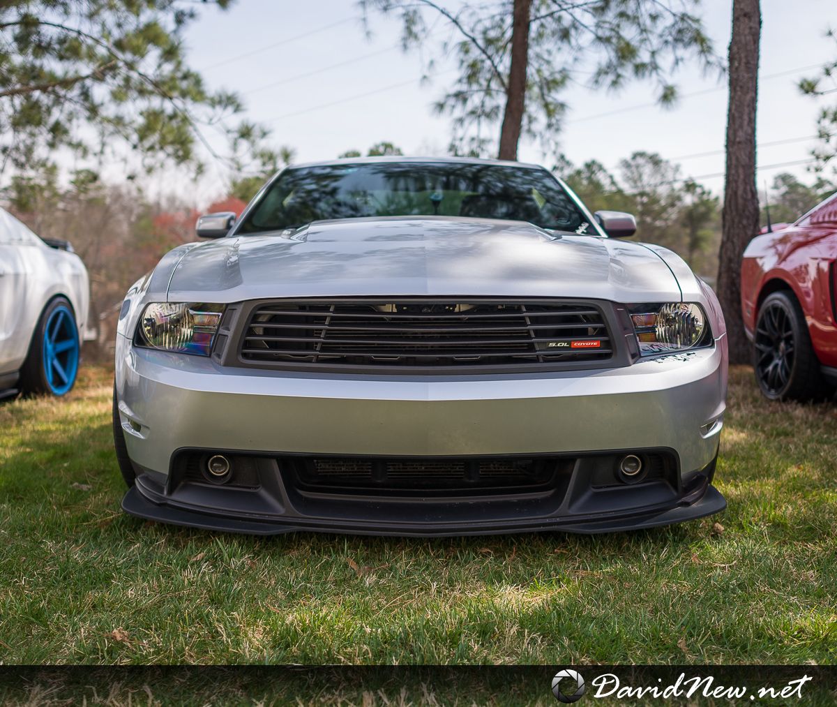 Mustangs Unlimited Car Show - March 2014 - Georgia