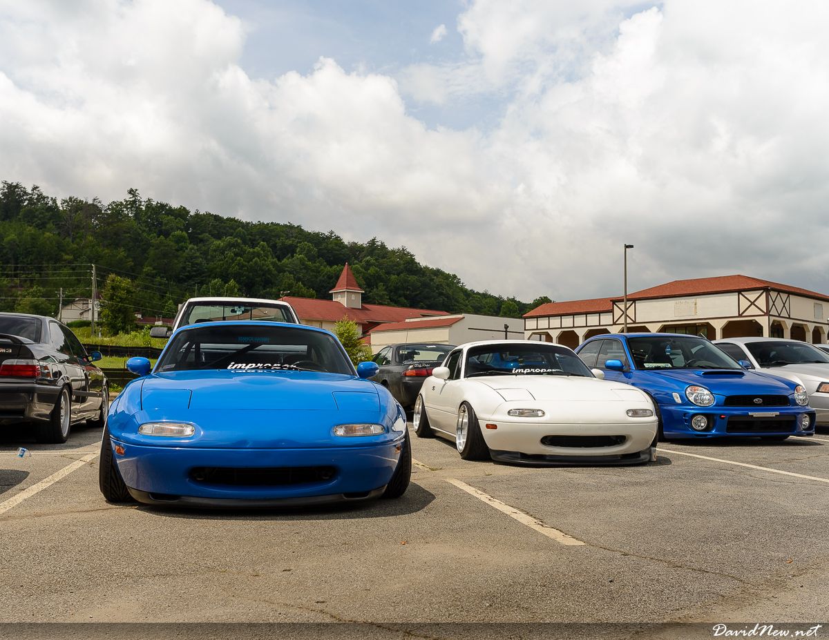 Helen Import Day - August 2014