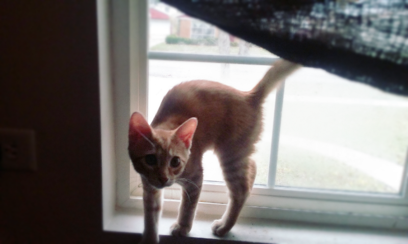 No cuddle potential out there--oh heeeey.