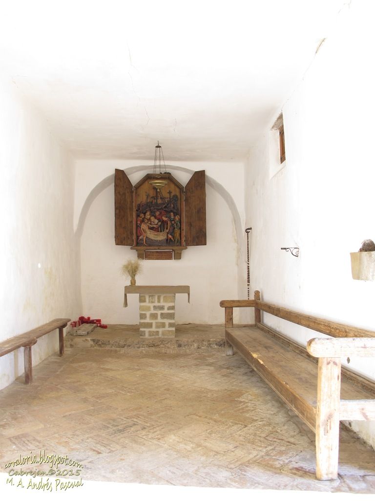 photo cuculo-san salvador103_zpsuevtftef.jpg