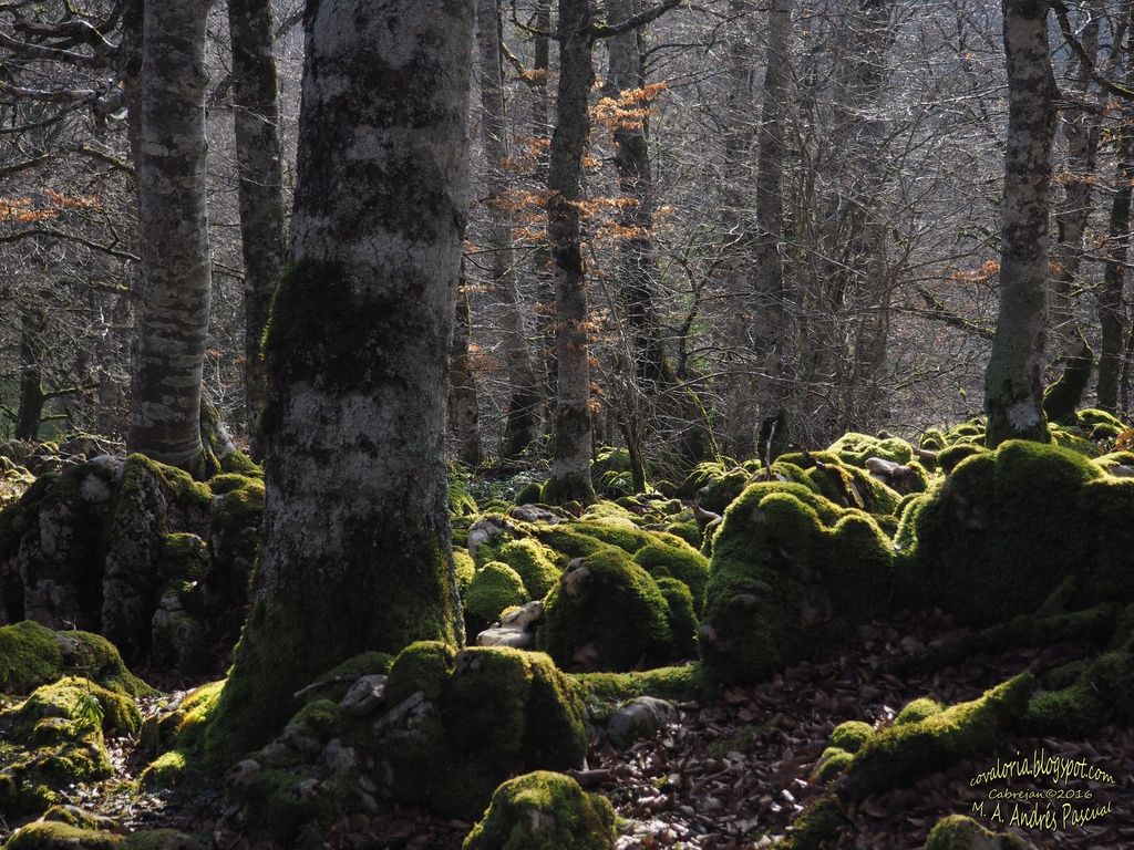 photo IRUMUGARRIETA005_zpscjxxjzo4.jpg