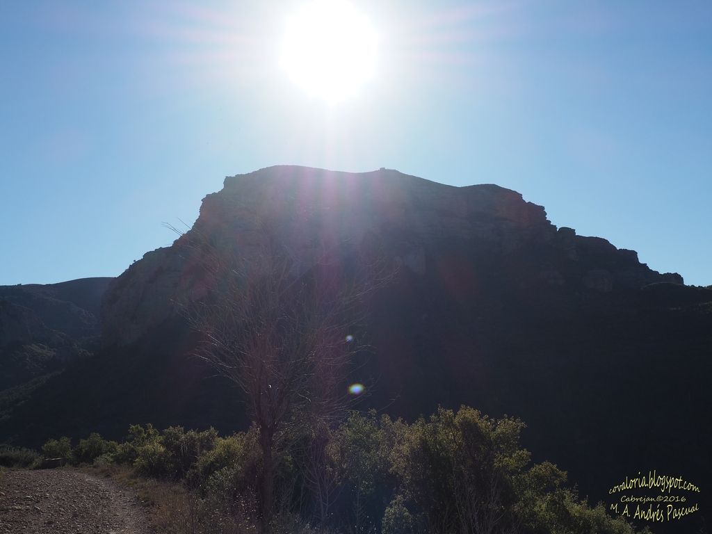 photo RIGLOS017_zpsdel8oyrj.jpg