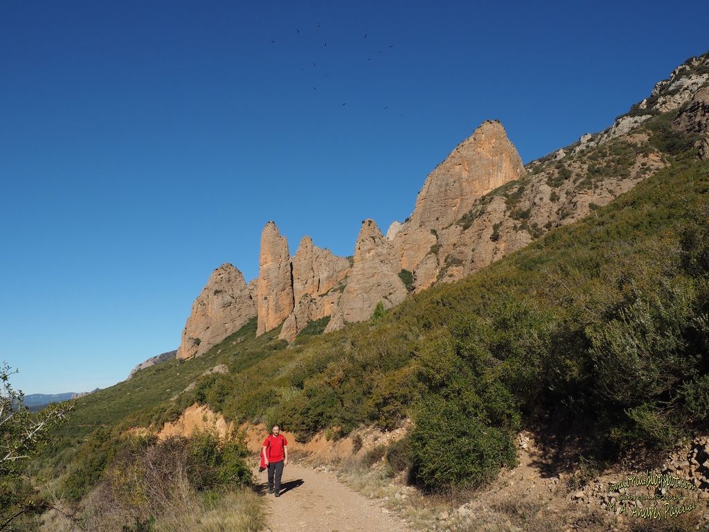 photo RIGLOS019_zpstjscz0vx.jpg