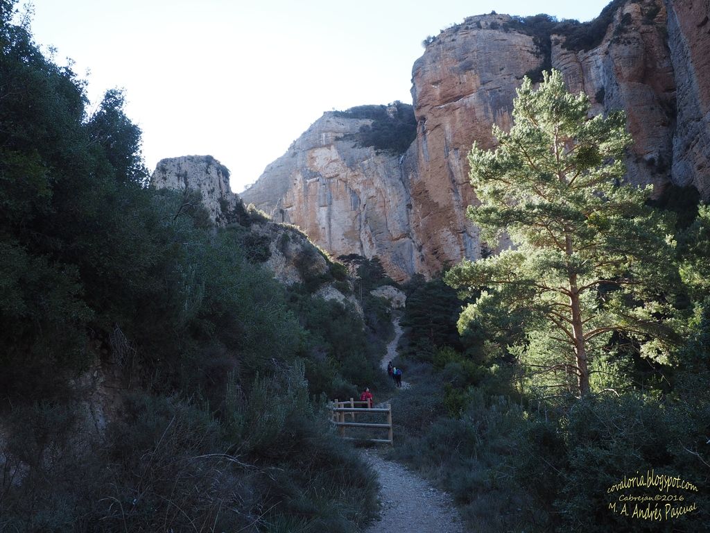 photo RIGLOS023_zpsuysoj6vl.jpg