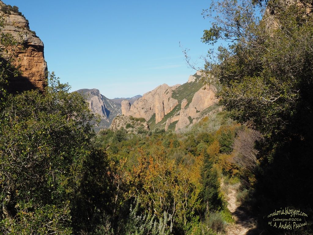 photo RIGLOS030_zpscmvcoepv.jpg