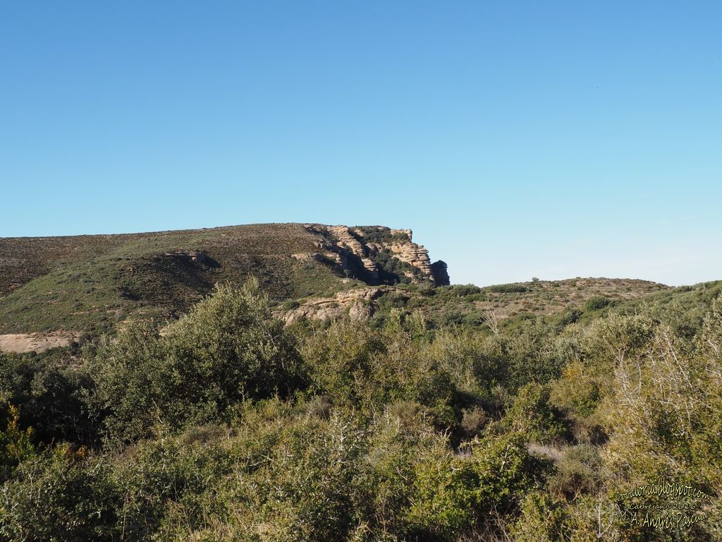 photo RIGLOS031_zpsoq8ecq2a.jpg