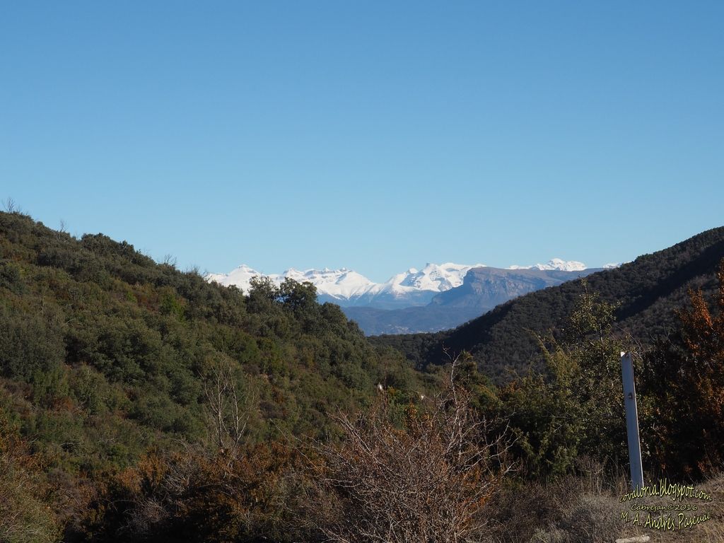 photo RIGLOS032_zpscgqv6bdf.jpg