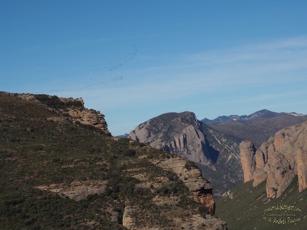 photo RIGLOS038_zpsppagmokr.jpg