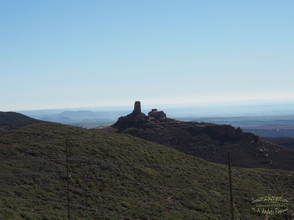 photo RIGLOS068_zps3uy69ubt.jpg