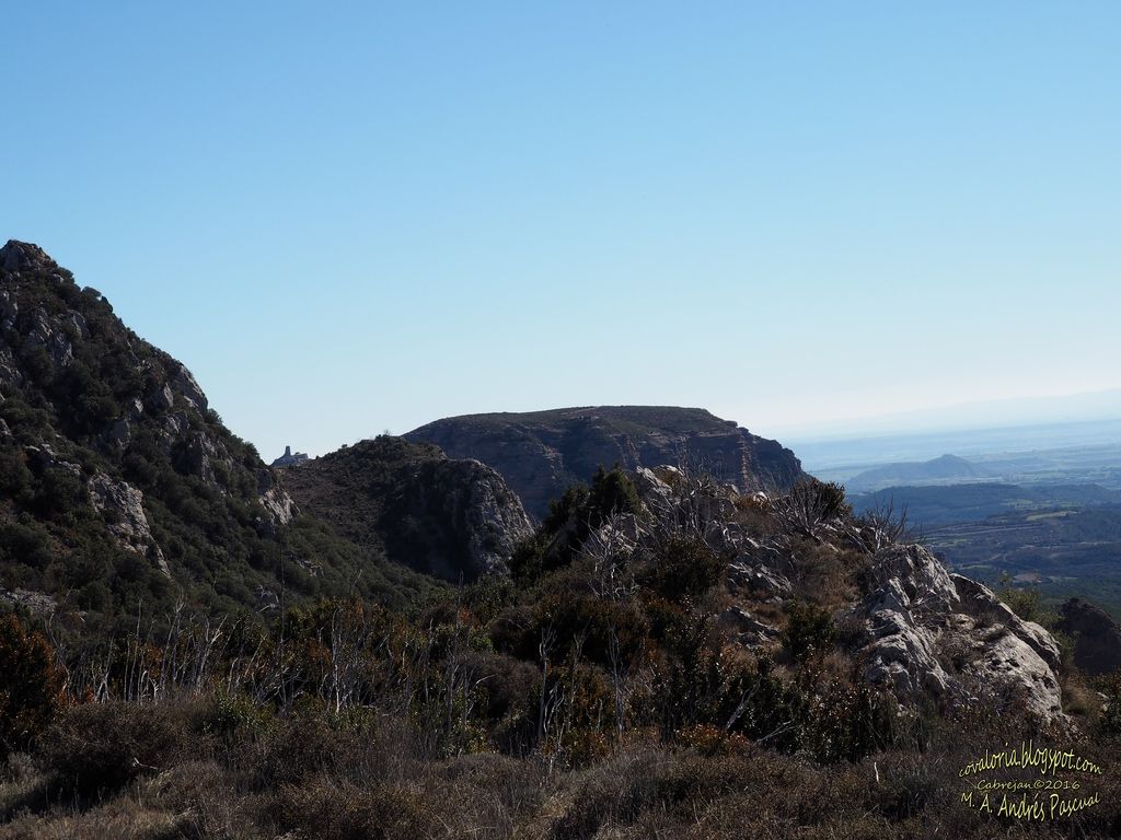 photo RIGLOS098_zpsifgkbc7a.jpg