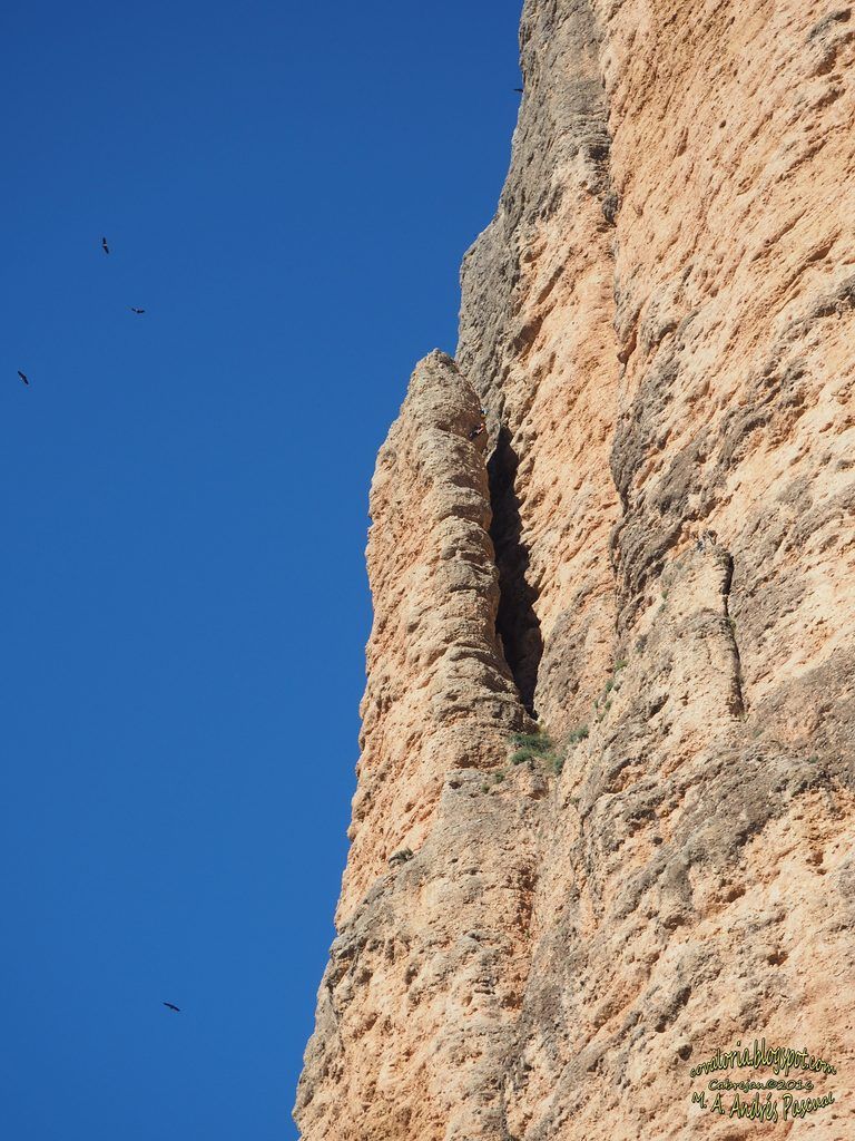 photo RIGLOS162_zpsvfyocxpz.jpg