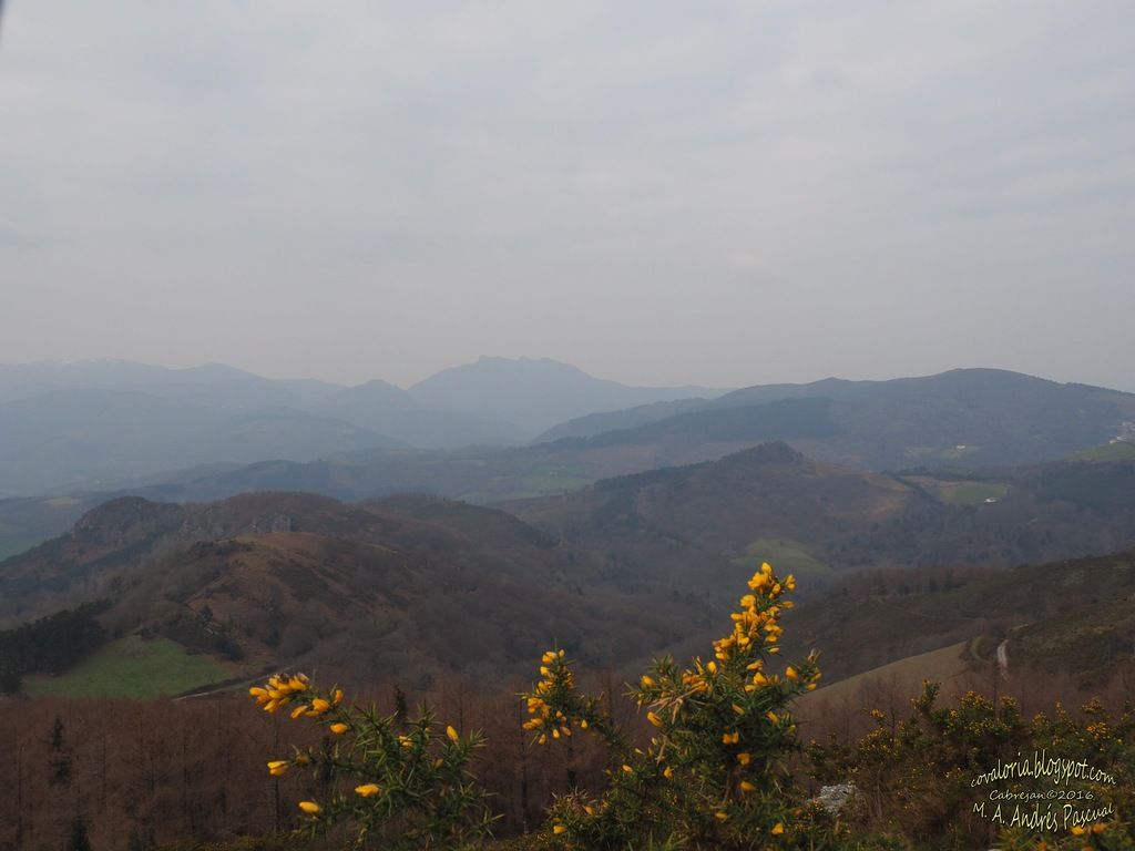 photo Larun031_zpsum8hccwz.jpg