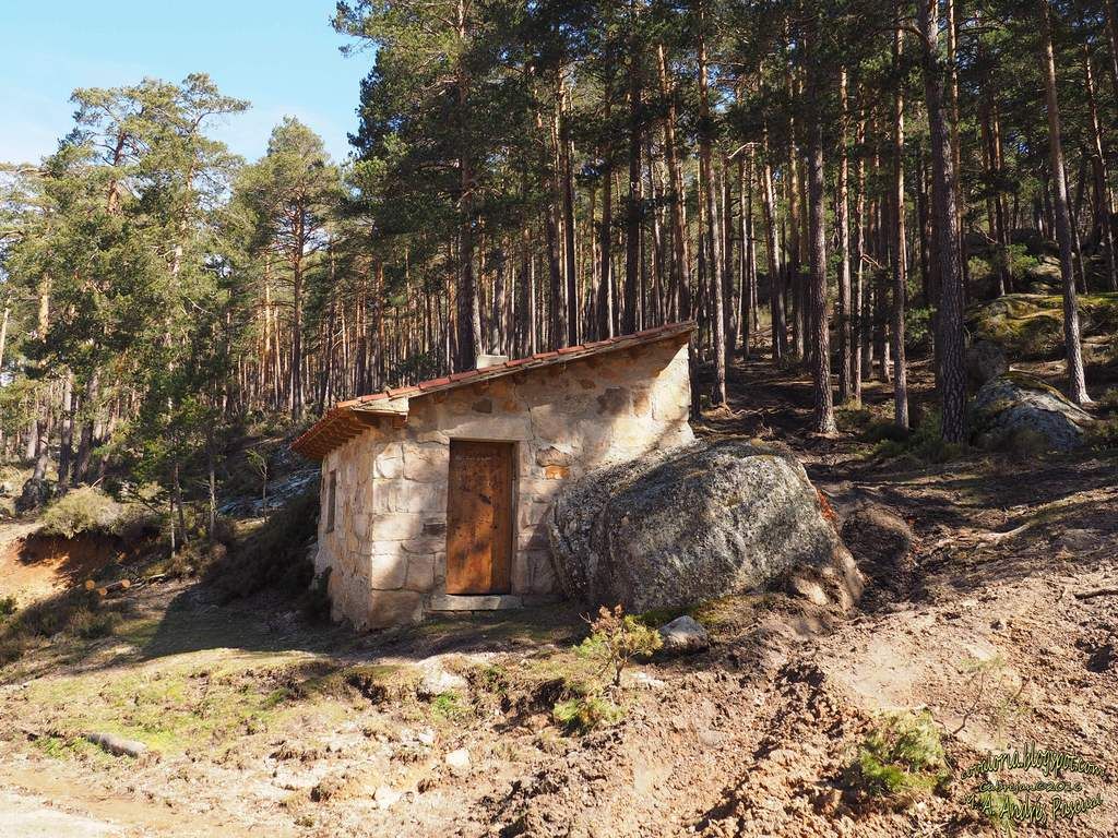 photo Ssanta250_zpskc7poxm2.jpg
