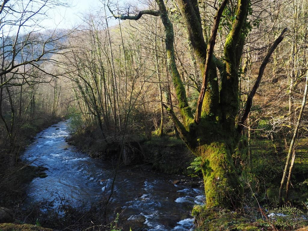 photo CIRCETXALAR-009_zpsowdqrqjx.jpg