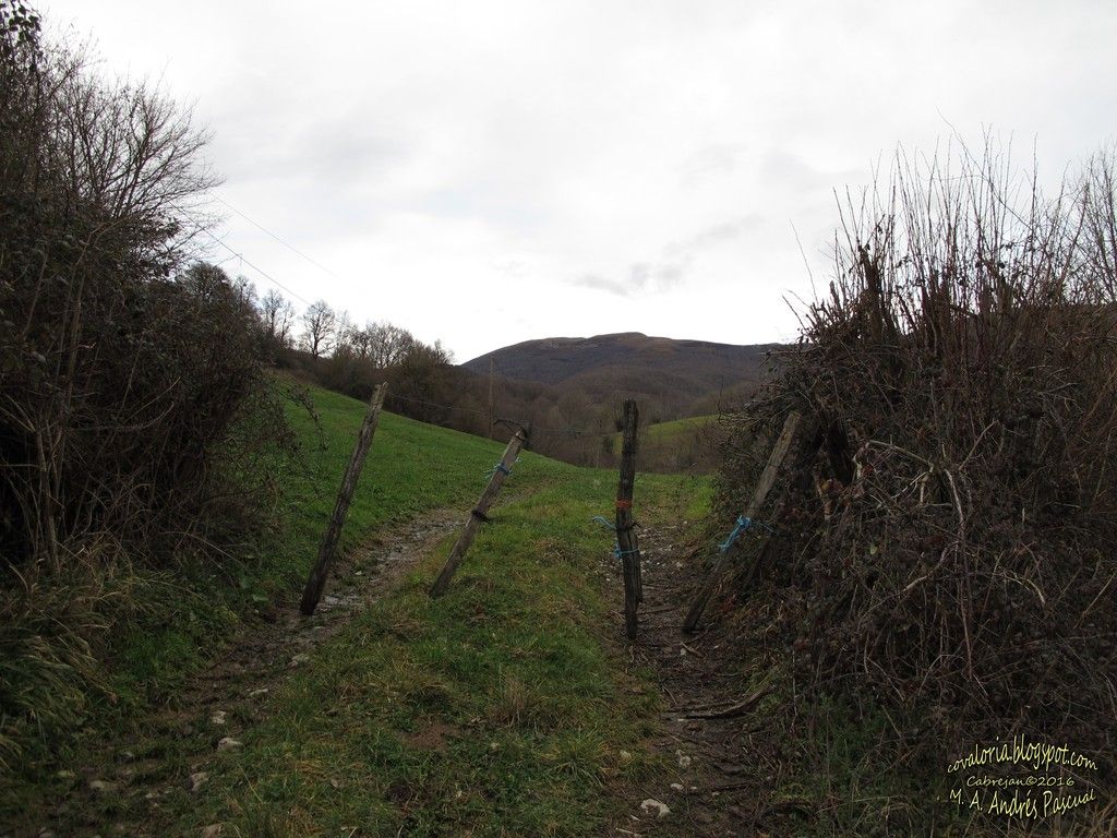photo ado 062_zpsmxzhmjeu.jpg