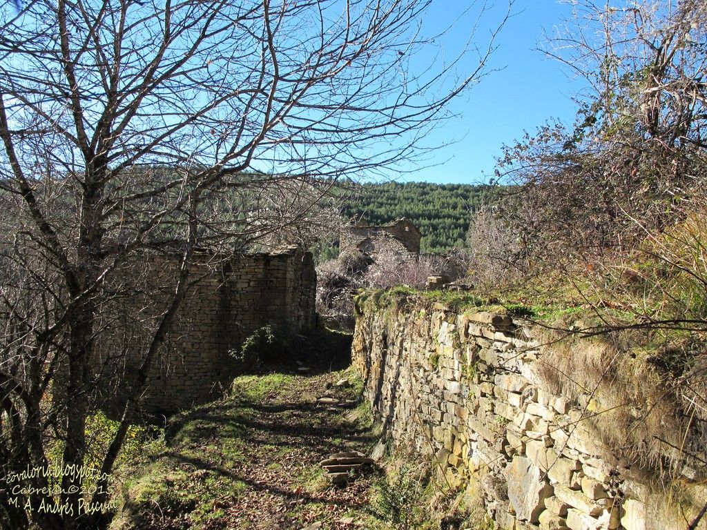 photo sobrepuerto 125_zpsxkffuak3.jpg