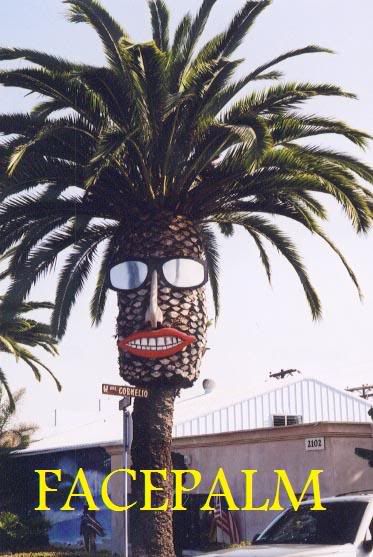 palm-tree-face.jpg