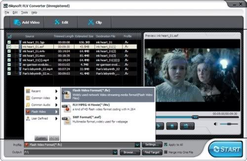 iSkysoft FLV Converter iSkysoft FLV Converter