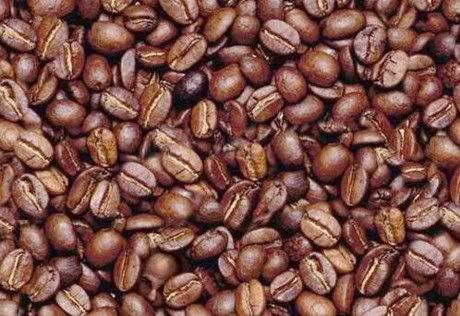Cafeína pode causar infertilidade Cafeína pode causar infertilidade