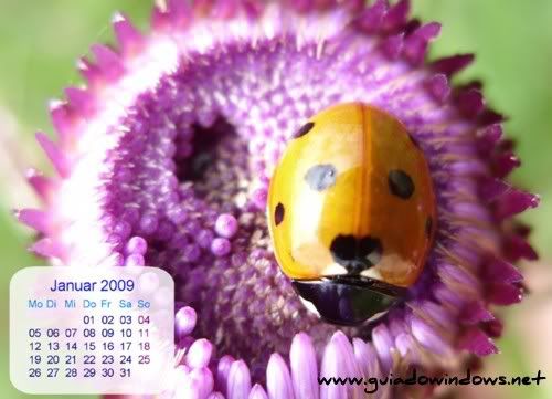 TKexe Kalendar TKexe Kalendar