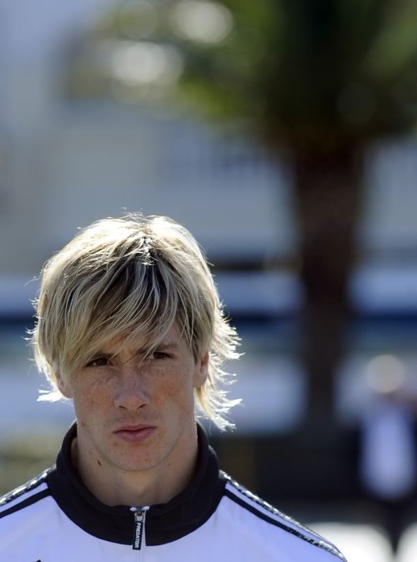 Fernando Torres South Africa 09 Pictures, Images and Photos