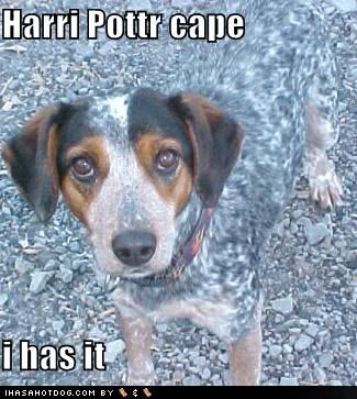 Harry Potter Cape
