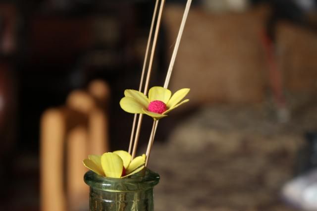 cho em hỏi mấy cành hoa khô trang trí kiểu này mua ở đâu ?