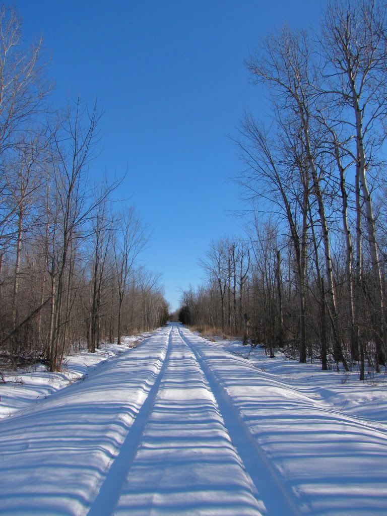 The Lonely Road