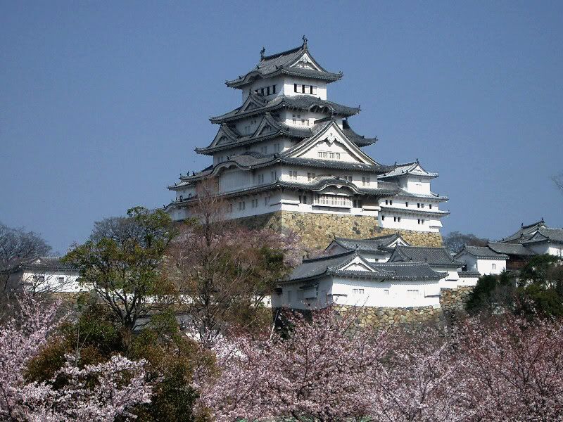 japan sakura