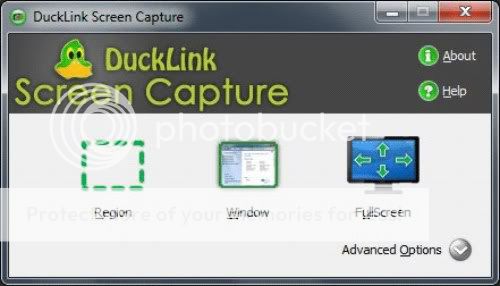 ducklink capture