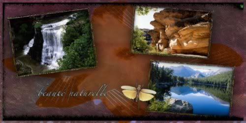 PhotosArtist PhotosArtist