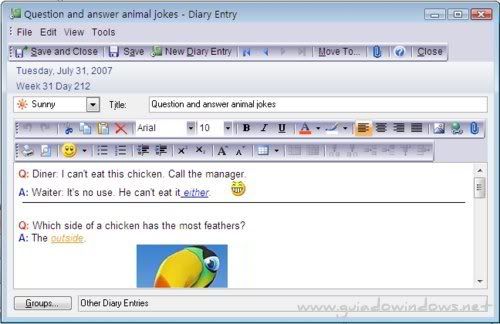 Efficient Diary Efficient Diary