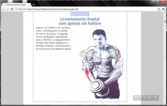 Como usar o navegador como leitor PDF padrão Como usar o navegador como leitor PDF padrão