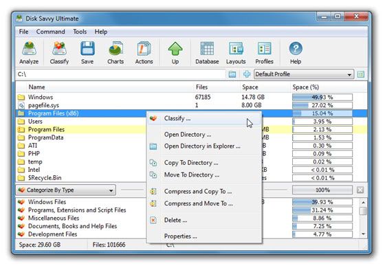 Disk Savvy Disk Savvy