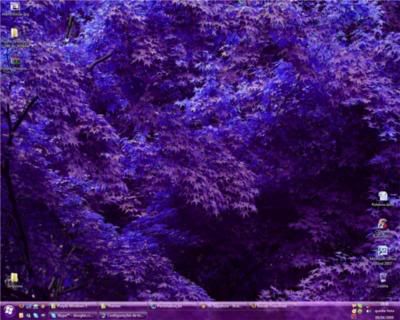 Purple Windows 3