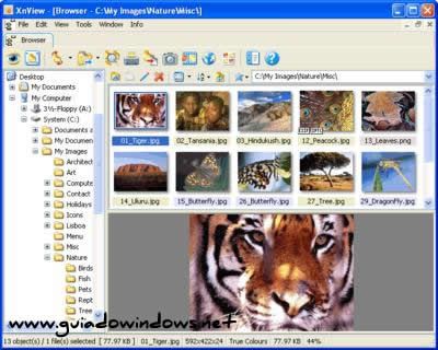 XnView